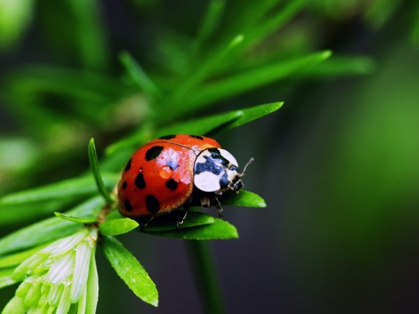 file_81448746