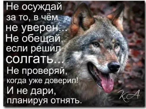 Волк