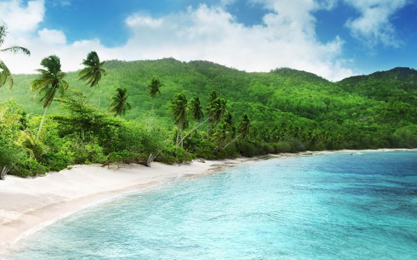 Mix336 2560x1600(294)