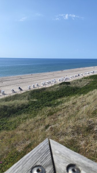 IMG 20260619 171931