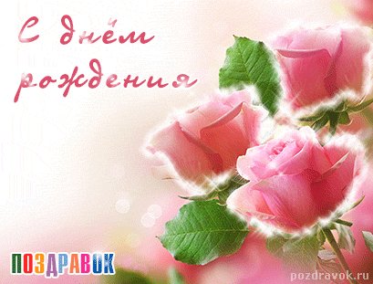 s-dnem-rozhdeniya-rozovye-rozy
