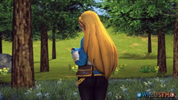 Woozysfm-Princess-Zelda-The-Legend-of-Zelda-фэндомы-6859085