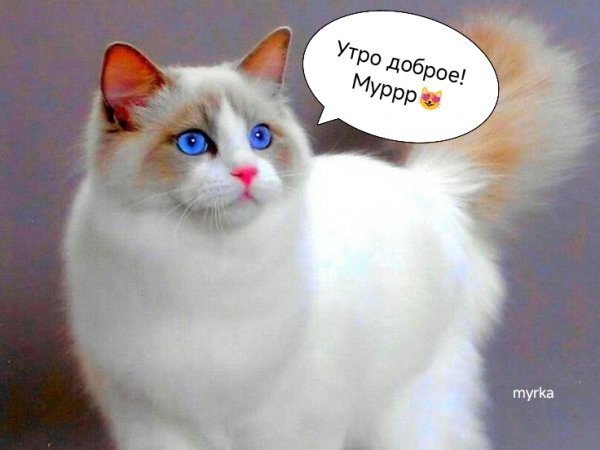 IMG 20260326 050331