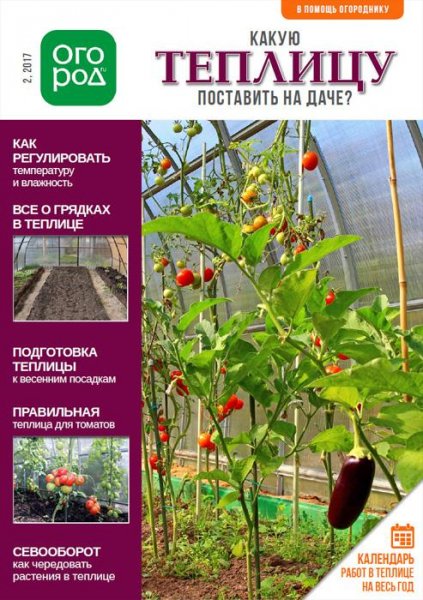Какую теплицу поставить на даче