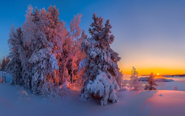 Зима - Закат - Снег - Деревья