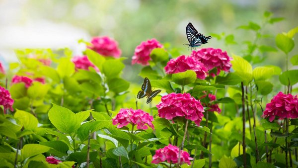 file_93659202