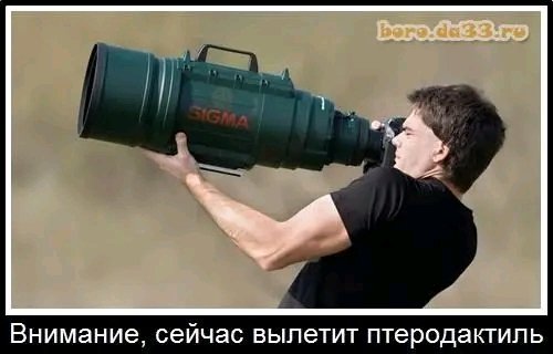 file_103136684