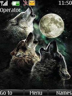 wolves tsb6b3hy