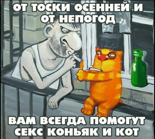 FB IMG 1729694564667