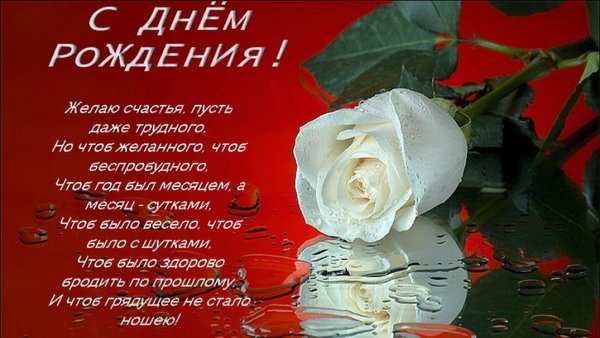 file_81298160
