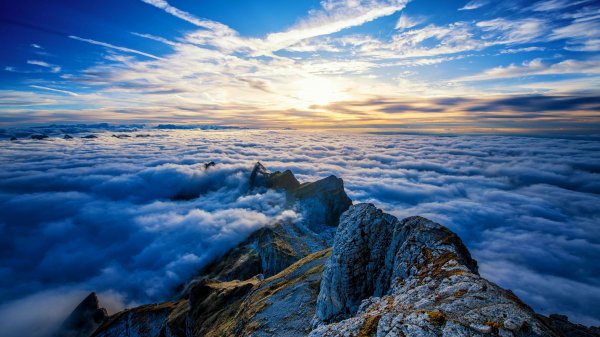 file_99299642