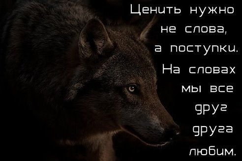 Поступки