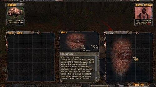 Boar Play