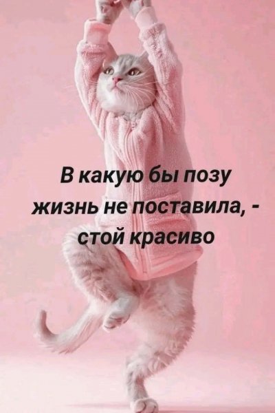 file_103442978