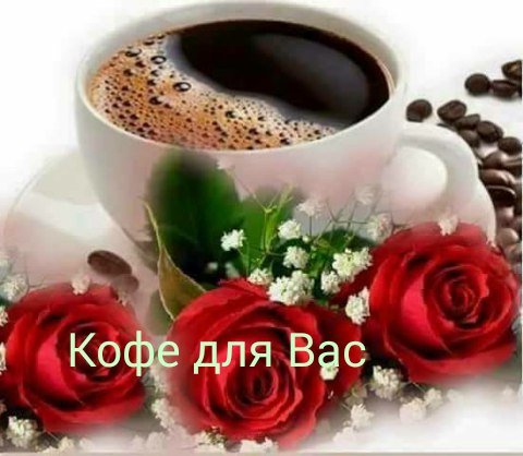 bvlugPpYJfE