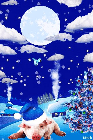 file_75981284