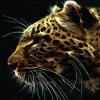 TIGER GOLD by KOLYnova