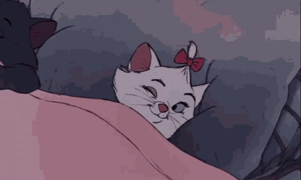 Good morning