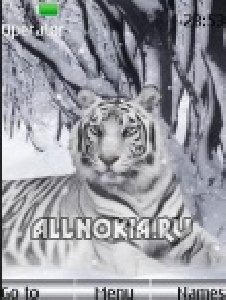 Tiger4 by Djgurza