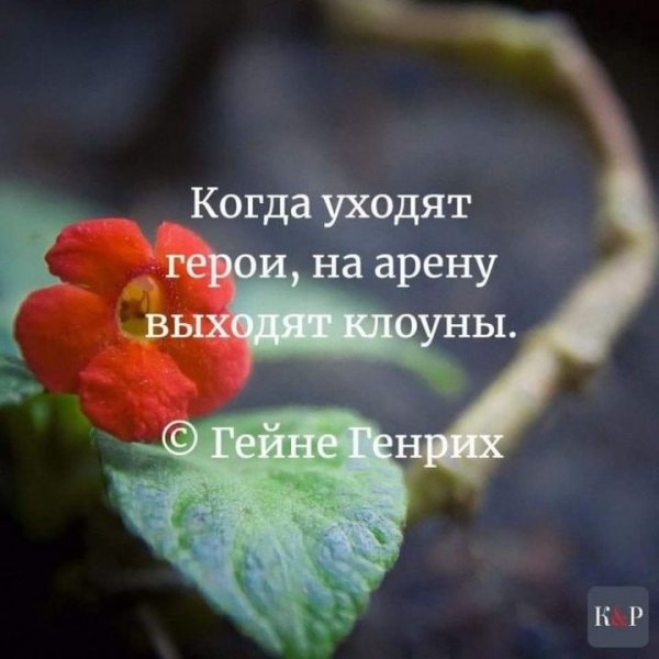 IMG 20250627 133337 510