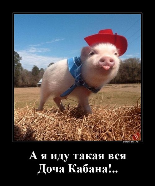 Доча Кабана