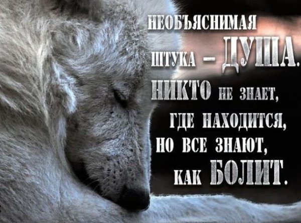 Душа