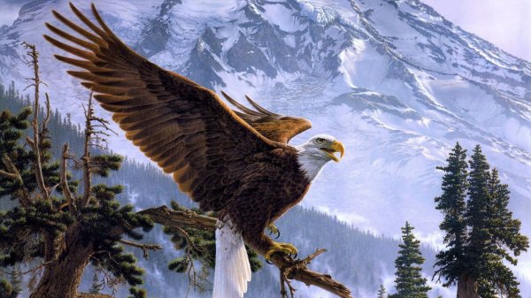 Image from million-wallpapers.ru 1366x768(9)