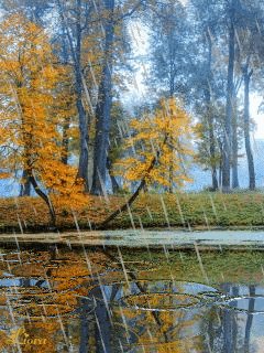 file_59237349