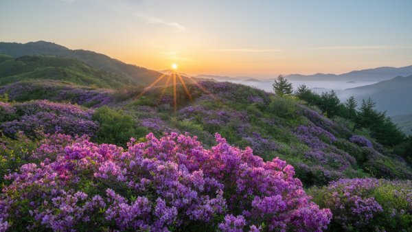 file_100693224