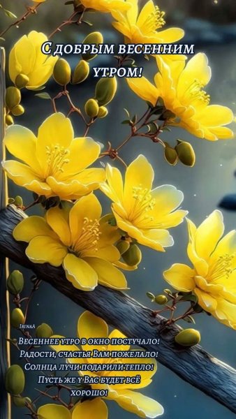 file_92964404