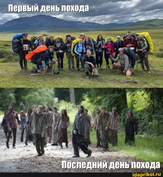 0f6f4ee971dbf452c01c324a7f1e3af18e9e80c4f843d7eb08d 1