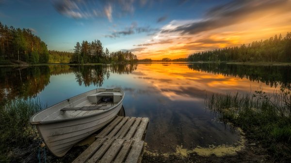 file_94798173