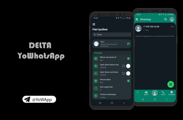 DELTA WhatsApp v5.3.0