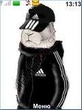 Adidasovskii zayats