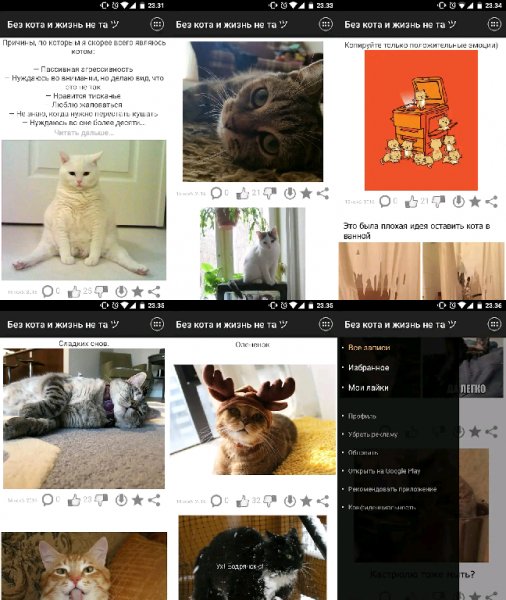 Без кота и жизнь не та :) 1.29 PRO