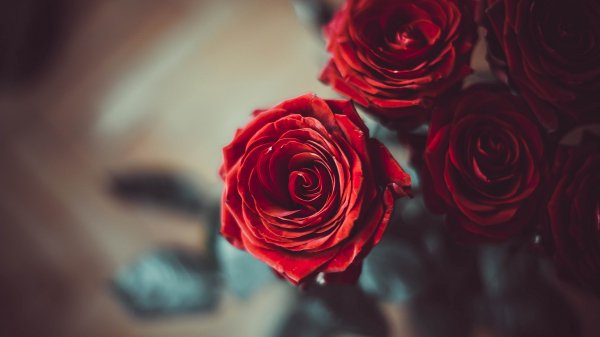 file_86843786