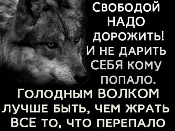 Свободой надо дорожить