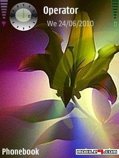 lilium