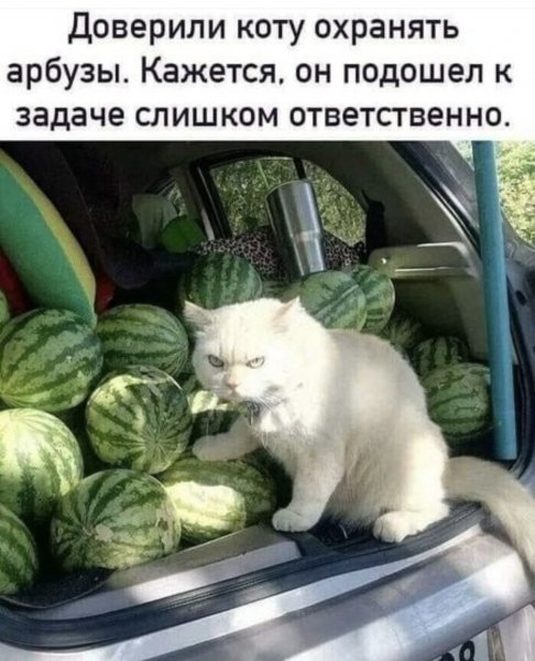 Охрана