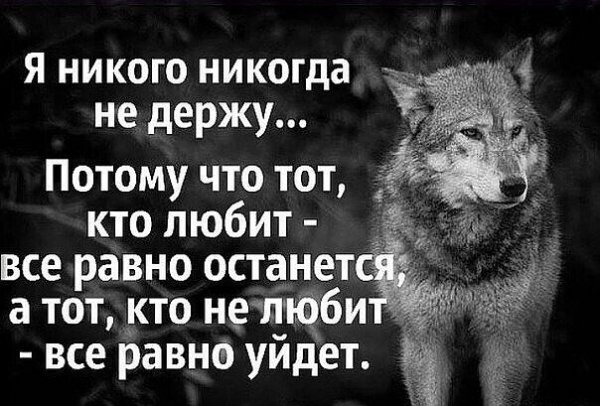 IMG 20260123 055457