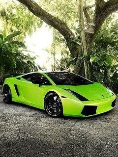 Lamborghini