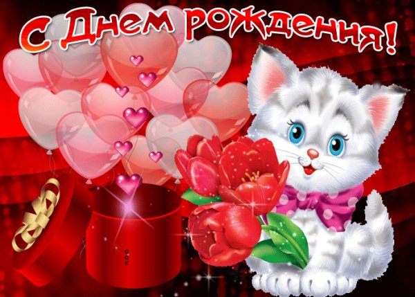 file_79223777