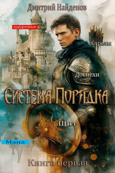 Найдёнов Дмитрий.Система Порядка