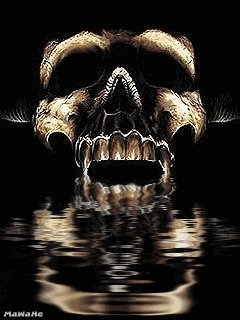 Skull