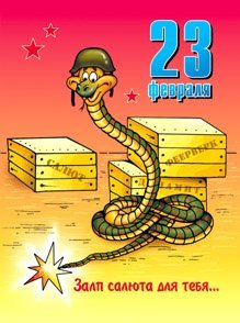 cards447