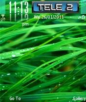 grass green leaf