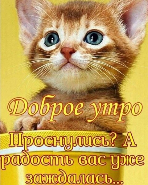 file_90235873