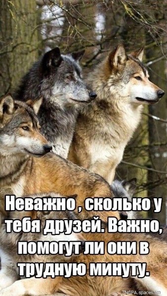 file_92366556