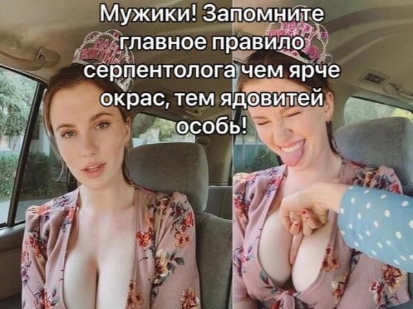 file_97068785