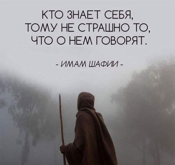 IMG 20240922 105844